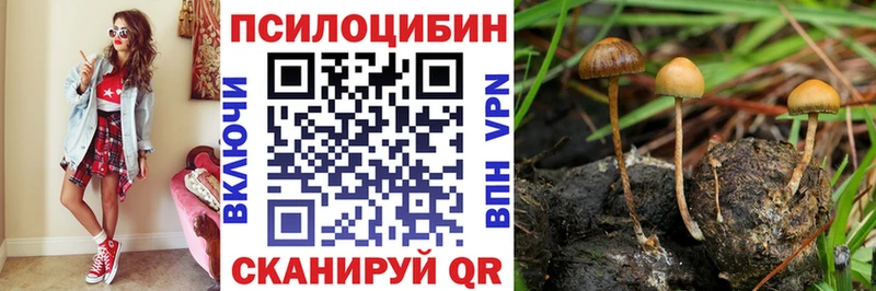где купить наркотик  Муром  Псилоцибиновые грибы Cubensis 